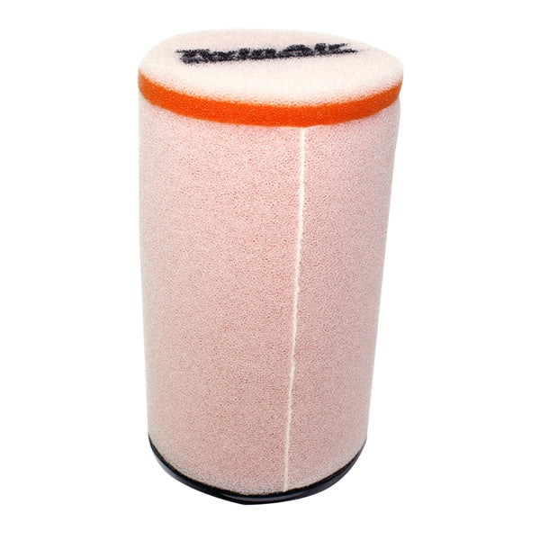 AIR FILTER STD HON TWINAIR