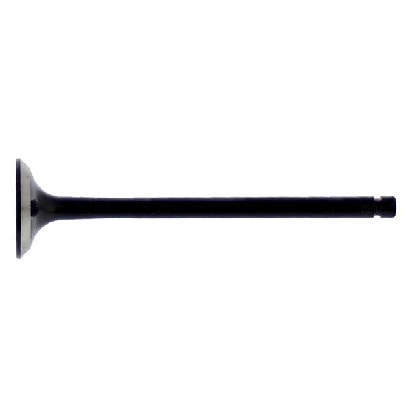 EXHAUST VALVE STEEL POL HOTCAMS