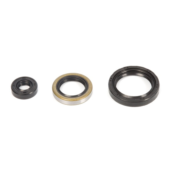 OIL SEAL KIT POL VERTEXWINDEROSA