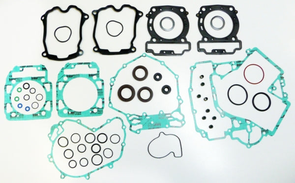 GASKET COMPL KIT W/OIL SEAL C-AM