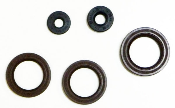 OIL SEAL KIT C-AM