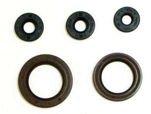 OIL SEAL SET C-AM WINDEROSA