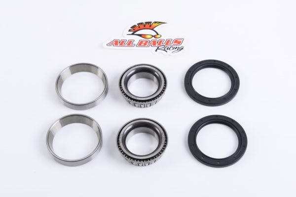 WHEEL BEARING KIT RR POL ALLBALLS