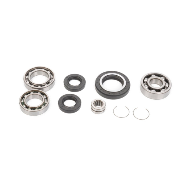 DIFFERENTIAL BEARING/SEAL KIT FT