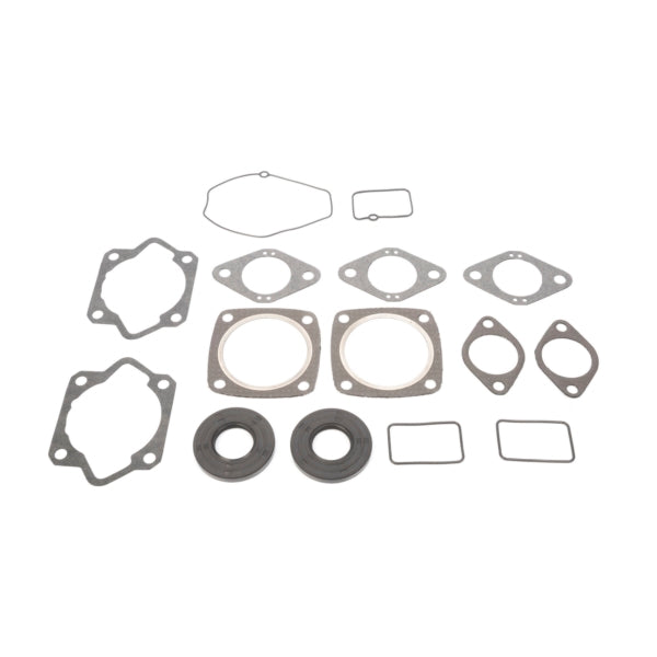 GASKET COMPL KIT W/OIL SEAL MSKI BRP