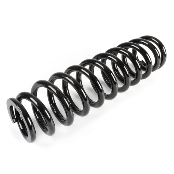 SUSPENSION SPRING EPI