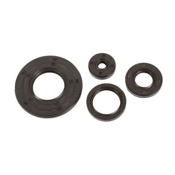 CRANKCASE OIL SEAL SET SKI-DOO WINDEROSA