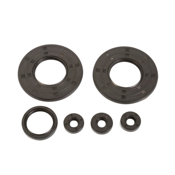 CRANKCASE OIL SEAL SET SKI-DOO WINDEROSA