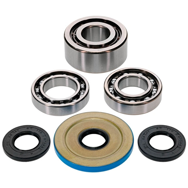 DIFFERENTIAL BEARING/SEAL KIT FT C-AM