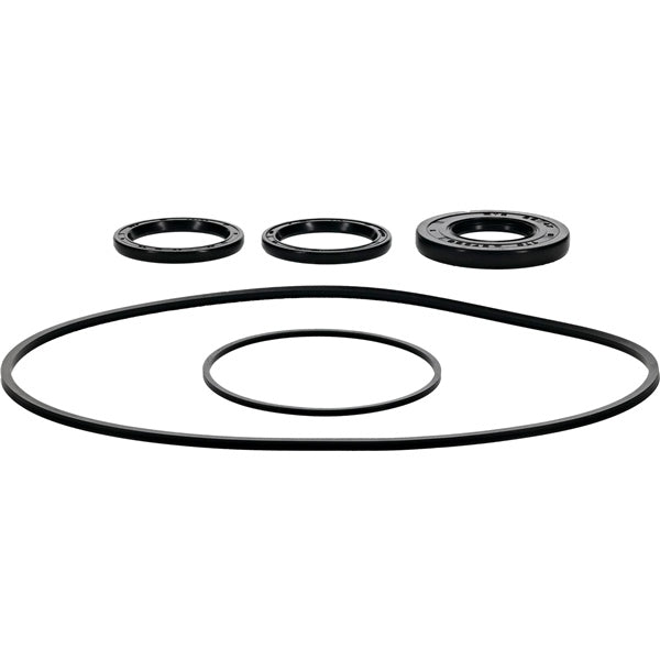 DIFFERENTIAL SEAL KIT FT POL ALLBALLS