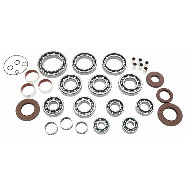 DIFFERENTIAL BEARING/SEAL KIT POL
