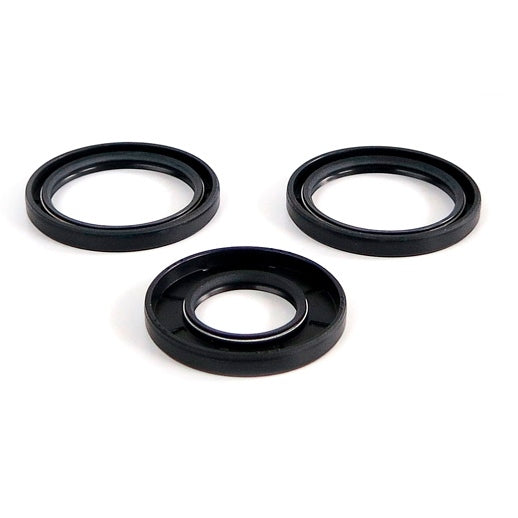 DIFFERENTIAL SEAL KIT FT POL EPI
