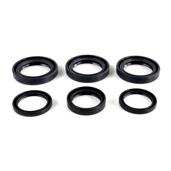 DIFFERENTIAL SEAL KIT FT POL EPI