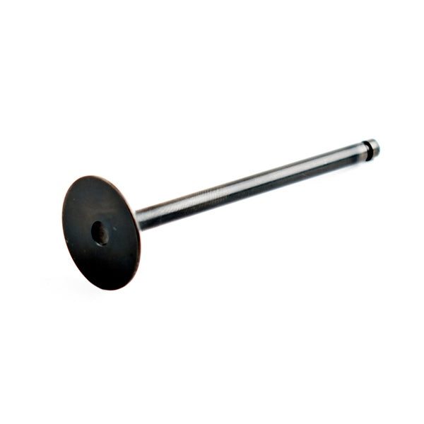 EXHAUST VALVE SEADOO WSM