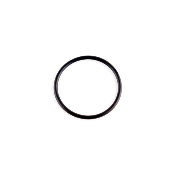 HOUSING BEARING O-RING YAM