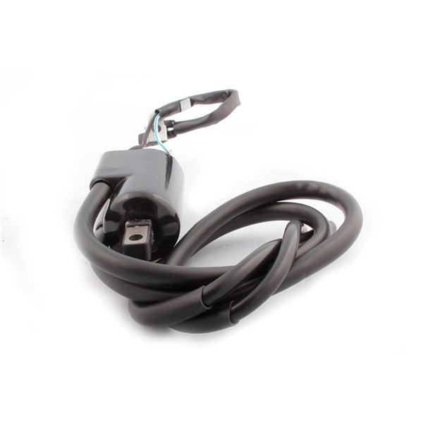 IGNITION COIL BRP KIMPEX