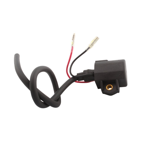 EXTERNAL IGNITION COIL POL KIMPEX