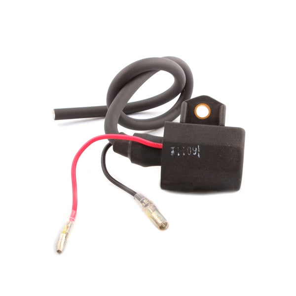 EXTERNAL IGNITION COIL POL KIMPEX
