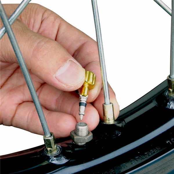 AIR VALVE CAP W/VALVE WRENCH GOL QTY2