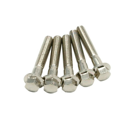 FLANGE BOLT M6 SST 25MM QTY5 DRCZETA