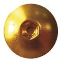 SCREEN SCREW KIT GOL KEITI
