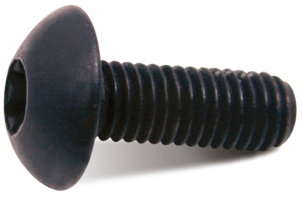 WINDSHIELD SCREW KIT BRP