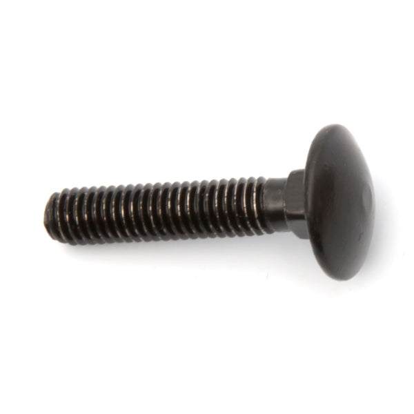 CARRIAGE BOLT M6 X 30  SS-BK
