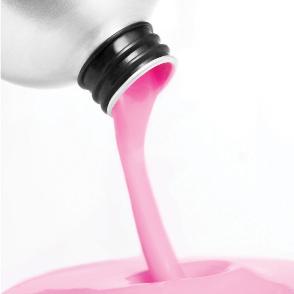 PROTECTOR SHINE MIRACLE 500ML