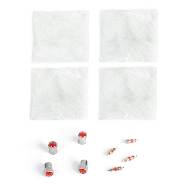 BAG W/BEADS & VALVE CAP 1 OZ QTY4