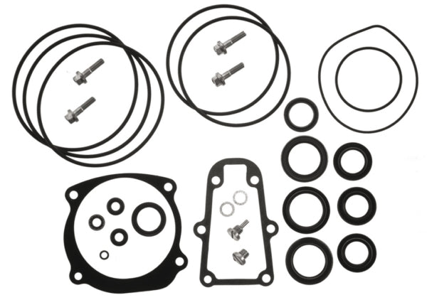 LOWER UNIT GASKET KIT