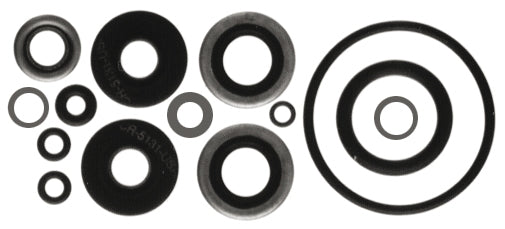 LOWER UNIT GASKET KIT