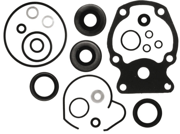 LOWER UNIT GASKET KIT