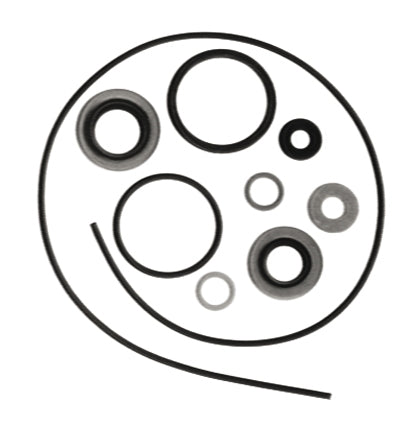 LOWER UNIT GASKET KIT