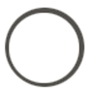 O-RING 331353 OMC SIERRA