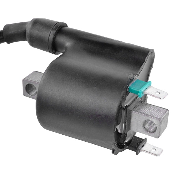 IGNITION COIL EXT HON KIMPEX