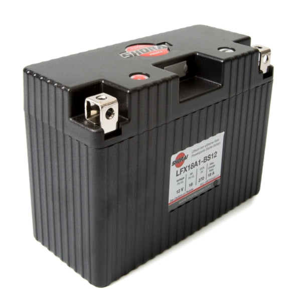 LFX18A1-BS12 SHORAI BATTERY