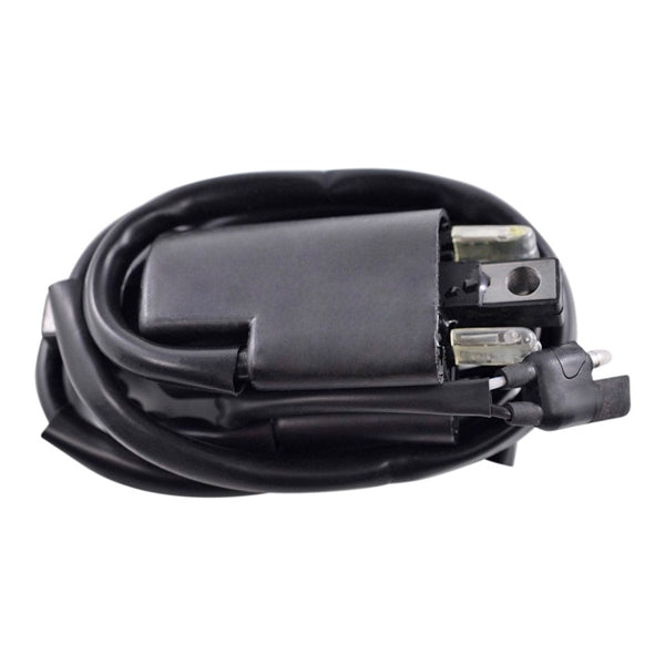 IGNITION COIL EXT BRP KIMPEXHD