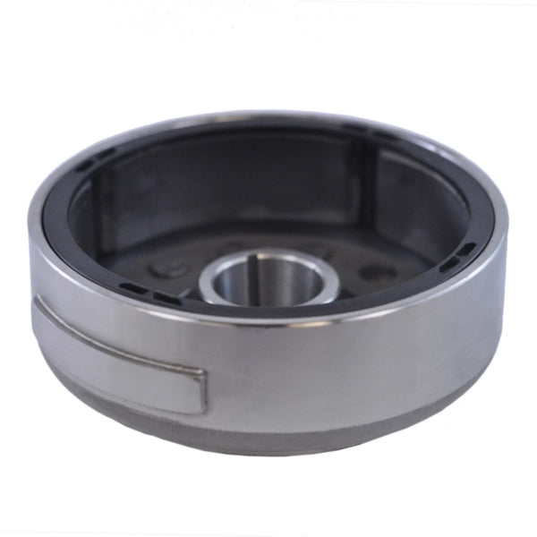 FLYWHEEL BRP