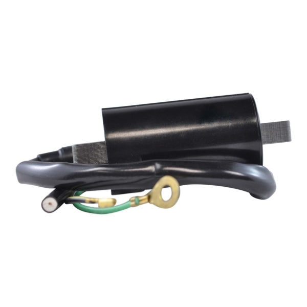 IGNITION COIL EXT KIMPEXHD