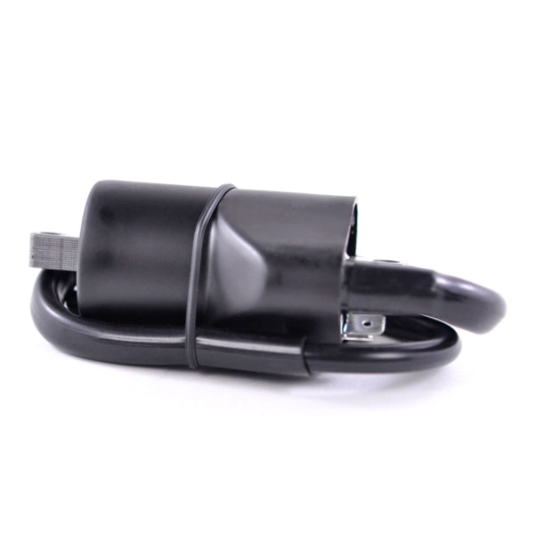 IGNITION COIL EXT W/CAP POL KIMPEXHD