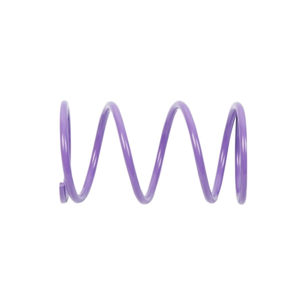 CLUTCH SPRING EPI