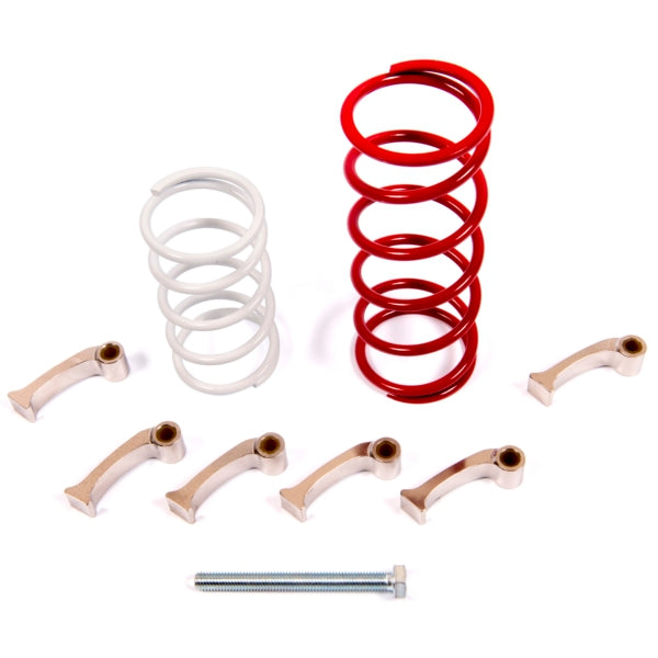 CLUTCH KIT C-AM EPI