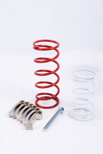 CLUTCH KIT C-AM EPI