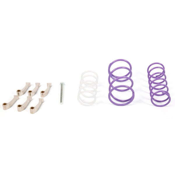 CLUTCH KIT C-AM EPI