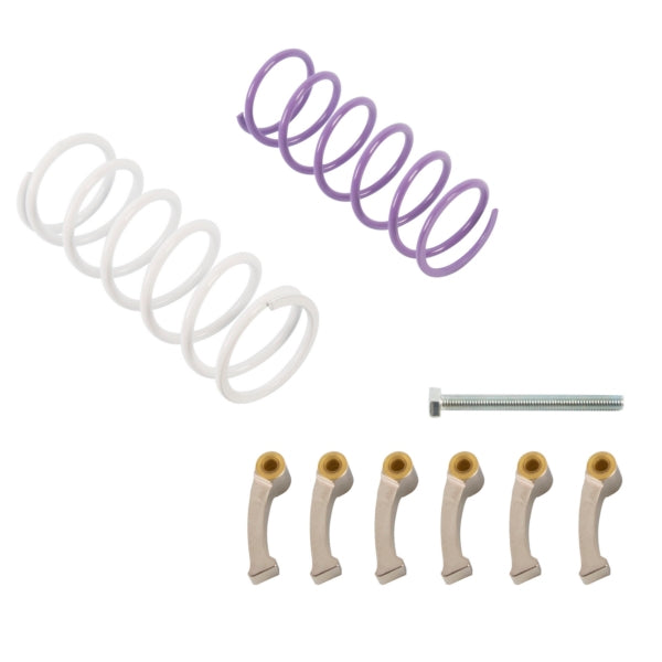 CLUTCH KIT C-AM EPI