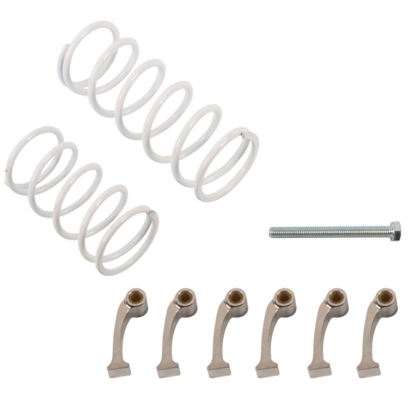 CLUTCH KIT C-AM EPI
