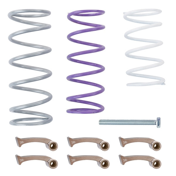 CLUTCH KIT C-AM EPI