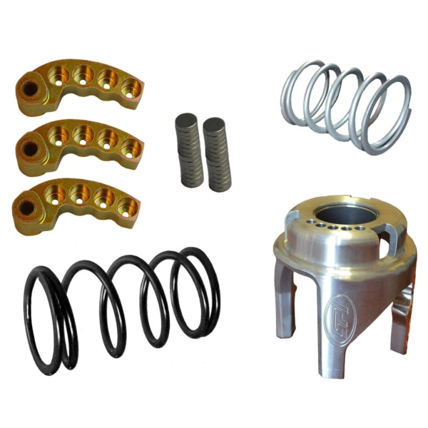 CLUTCH KIT W/ADJ WEIGHT A/C