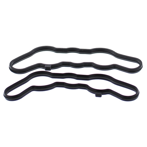 POWER VALVE GASKET KIT POL