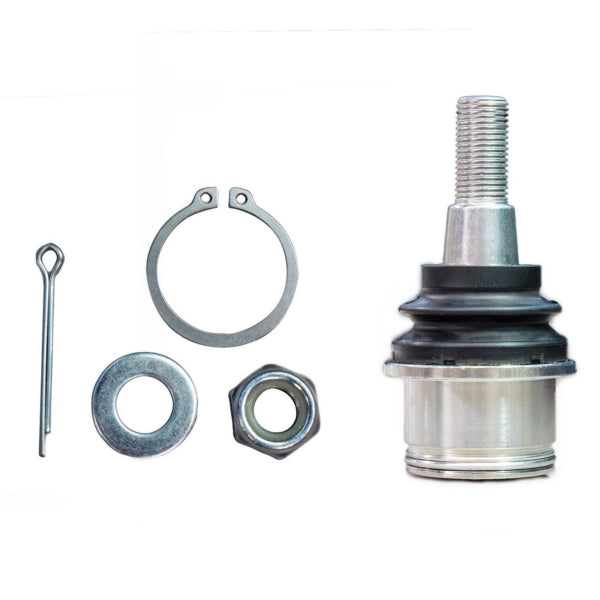 BALL JOINT HD LWR C-AM